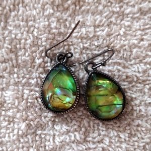 Teardrop shell earrings